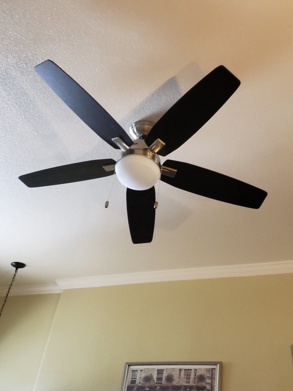 20190903_152939.jpg