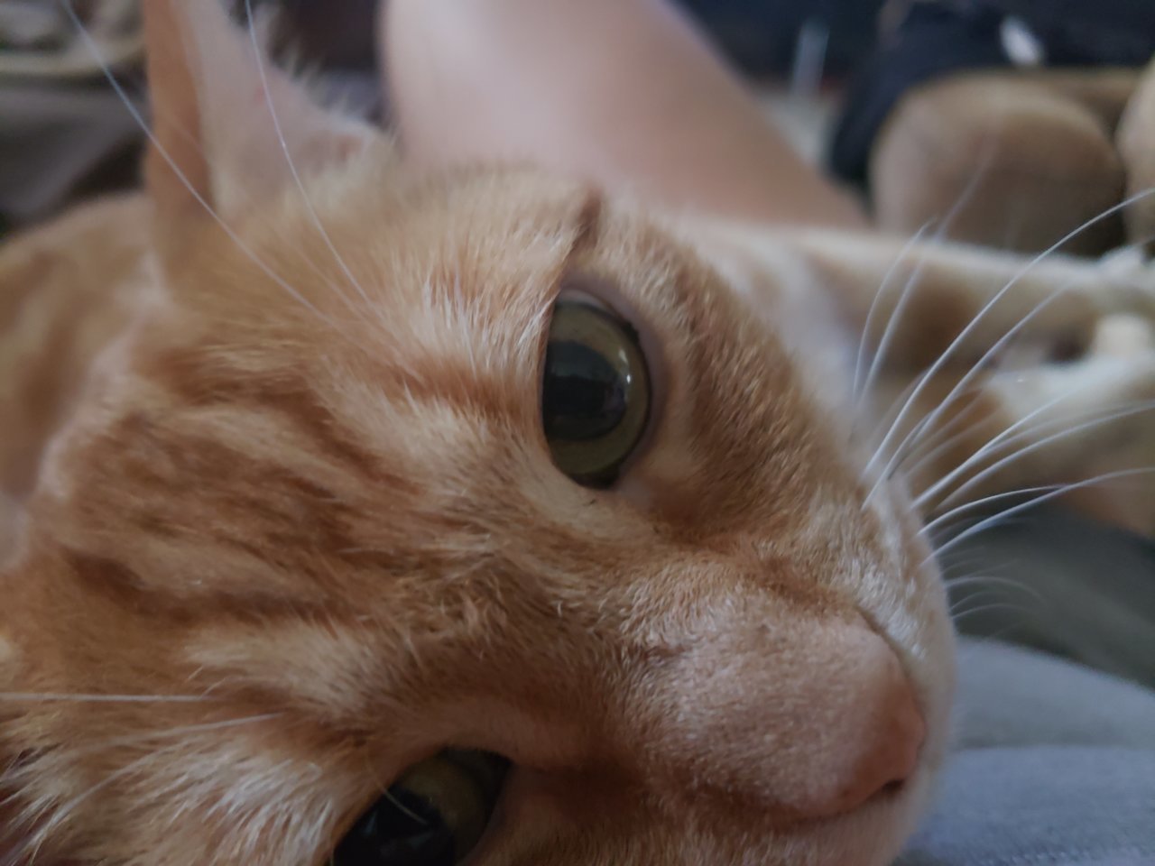 20190906_084431.jpg