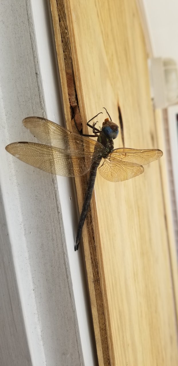 20190906_125537.jpg