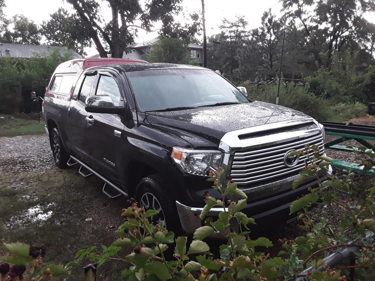 20190906_164831.jpg