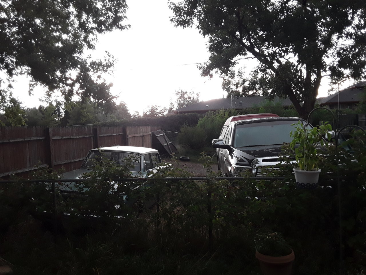 20190906_180513.jpg