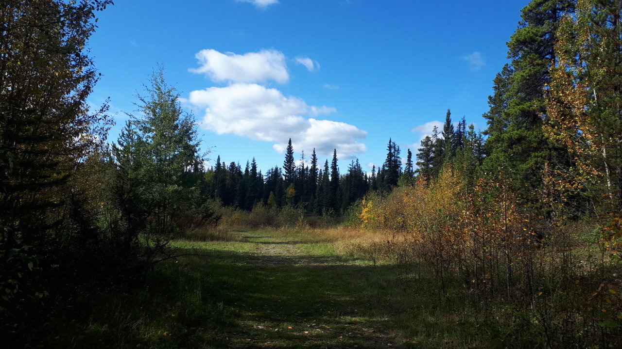 20190913_111054.jpg
