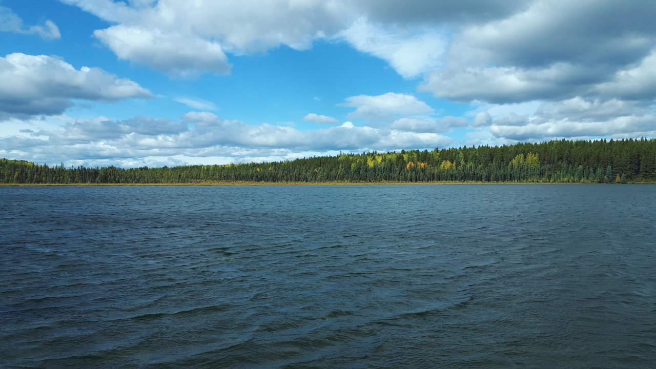 20190913_115500.jpg