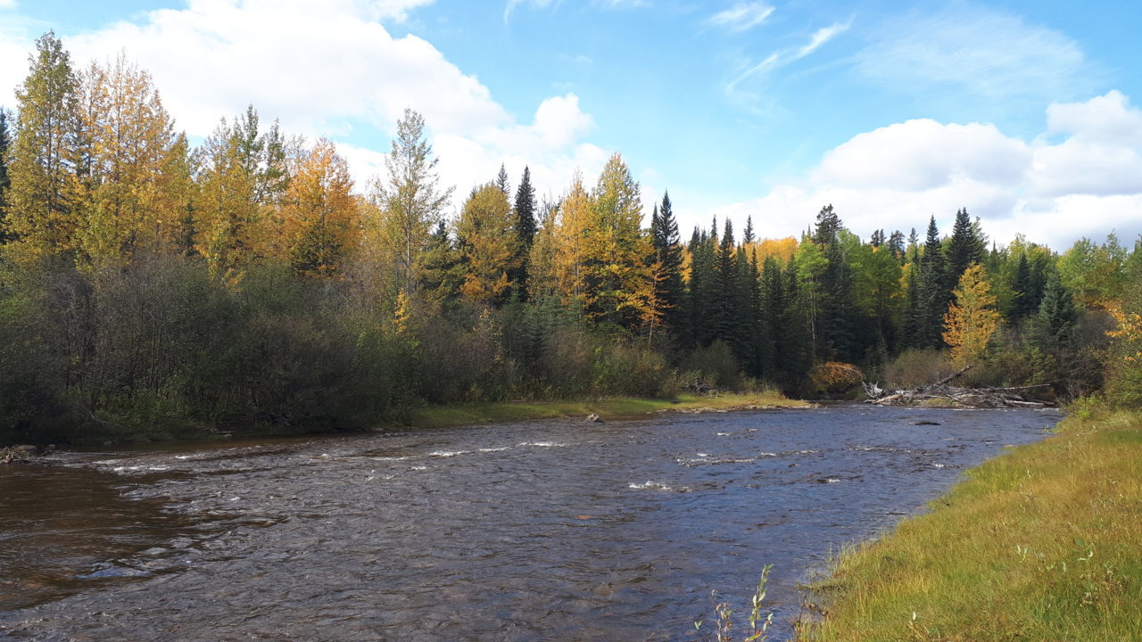20190913_121241.jpg
