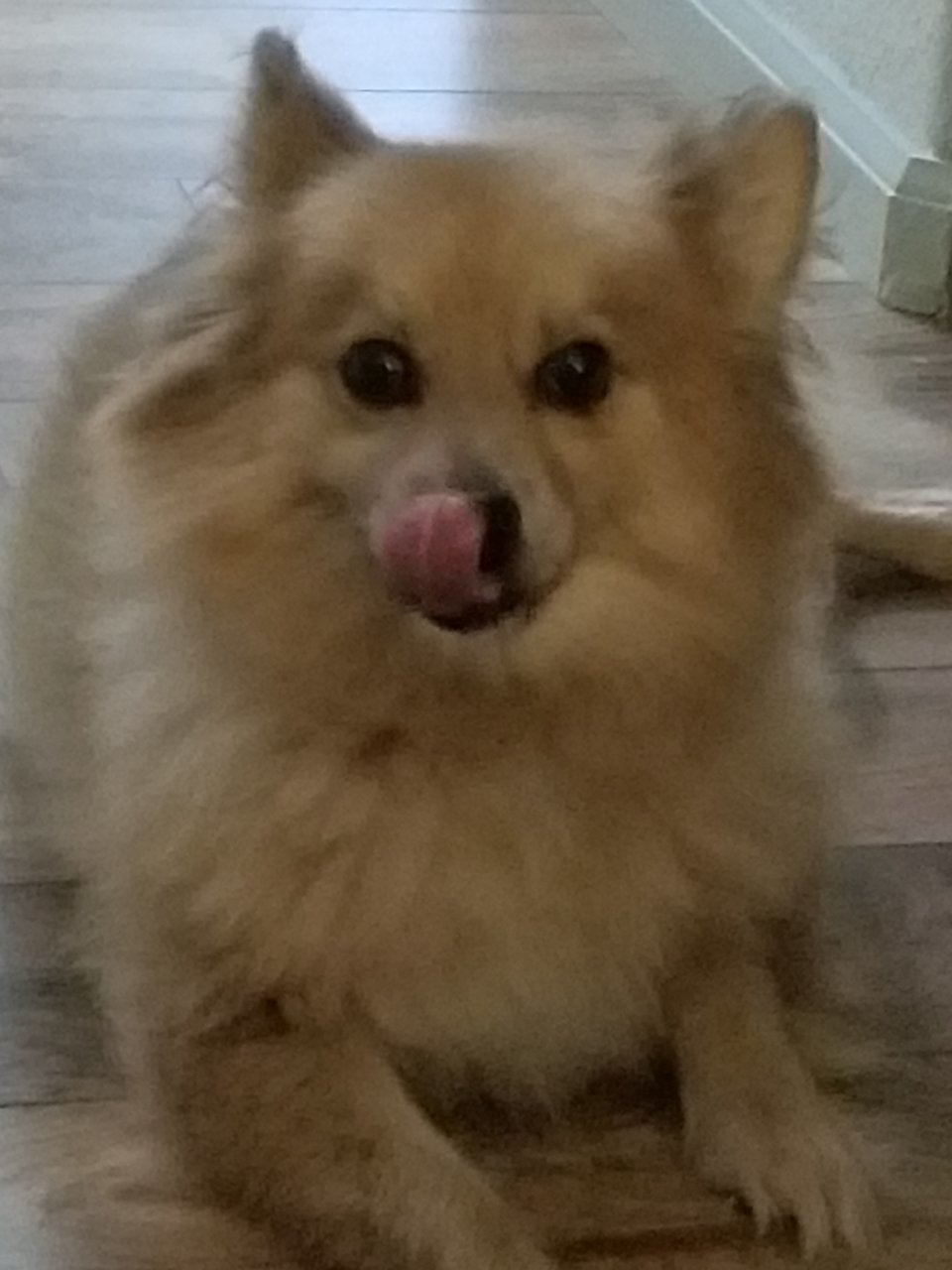 20190916_174449.jpg