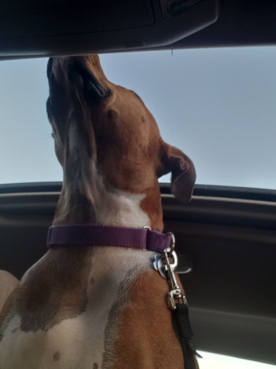 20190917_181442.jpg