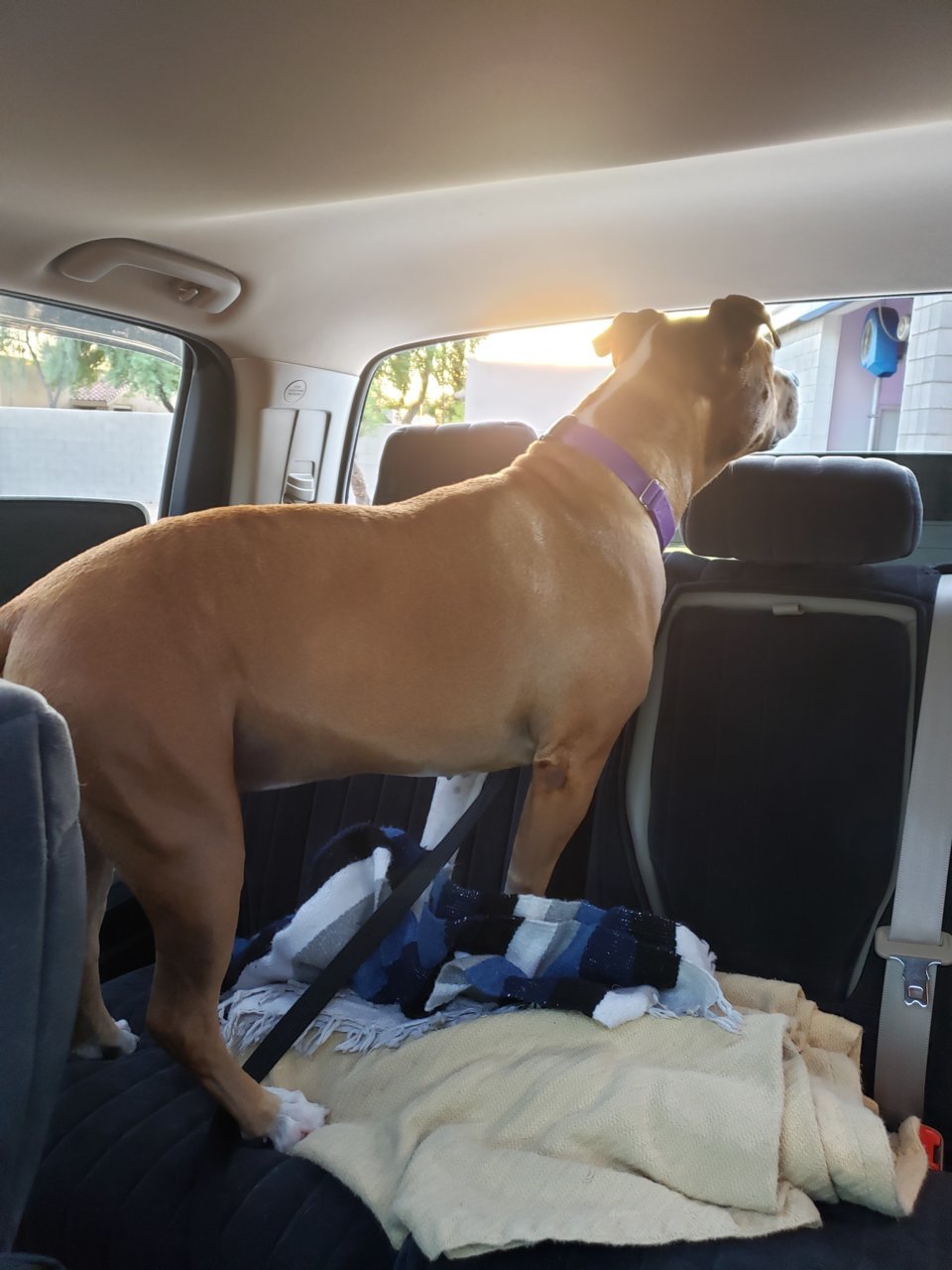 20190917_181739.jpg