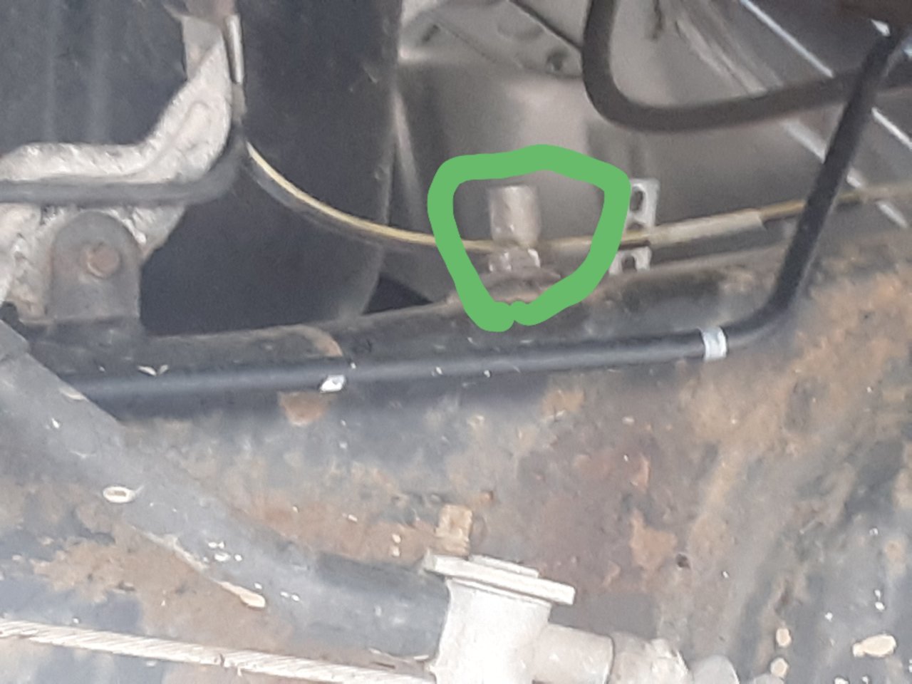 20190918_141829.jpg