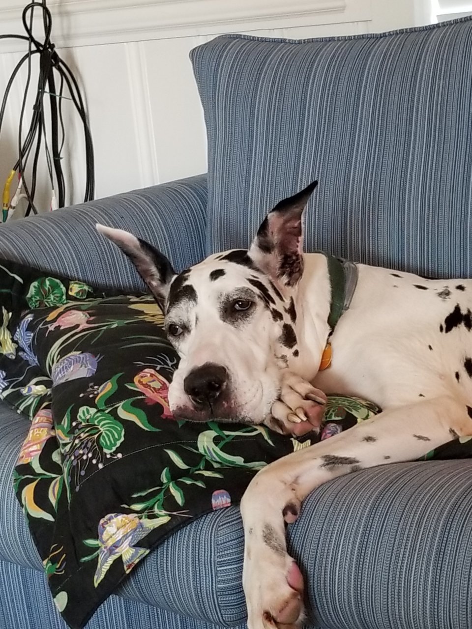 20190926_175931.jpg
