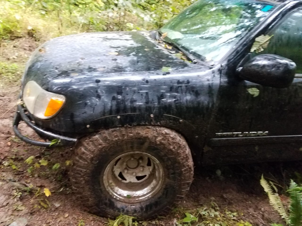 20190927_172316.jpg