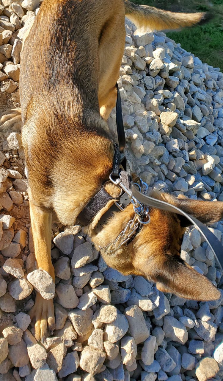 20190929_162352.jpg