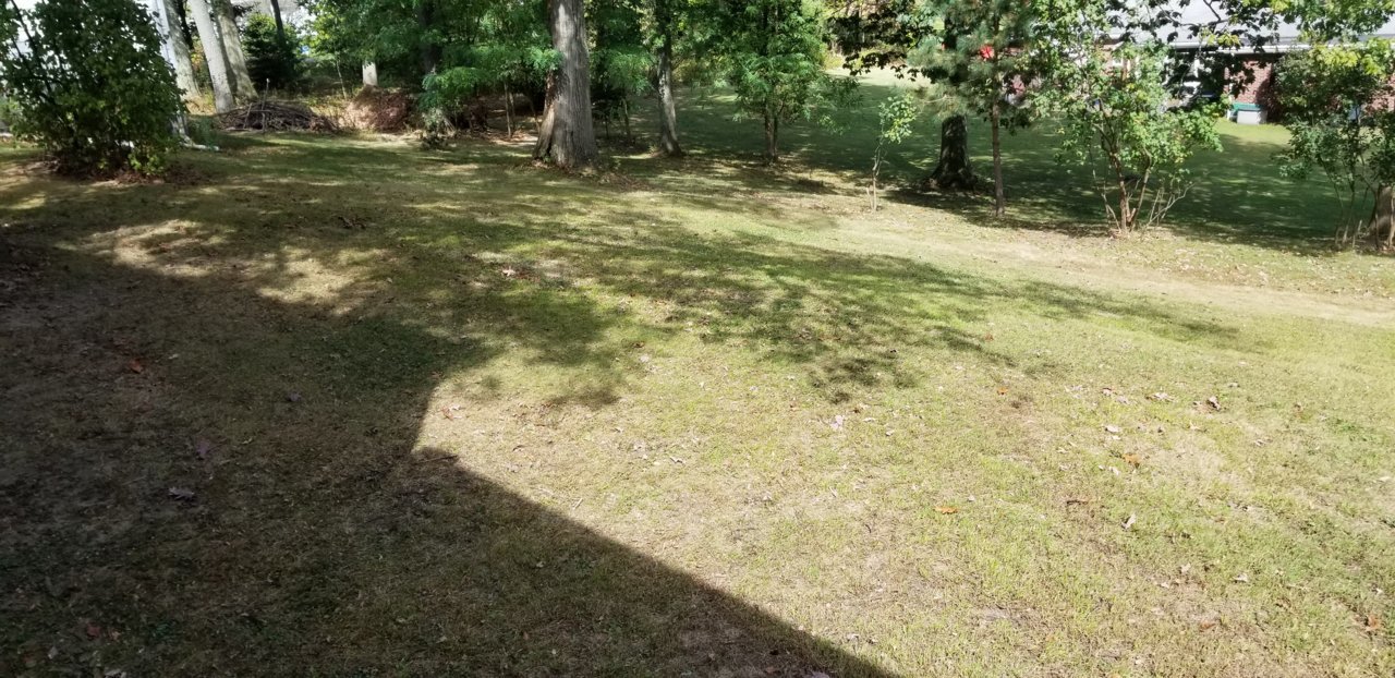 20191002_122959.jpg