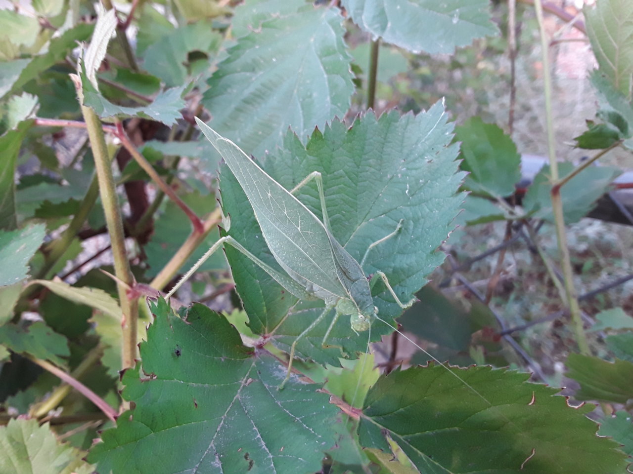 20191004_181137.jpg