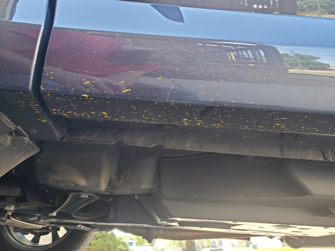 20191005_134833.jpg