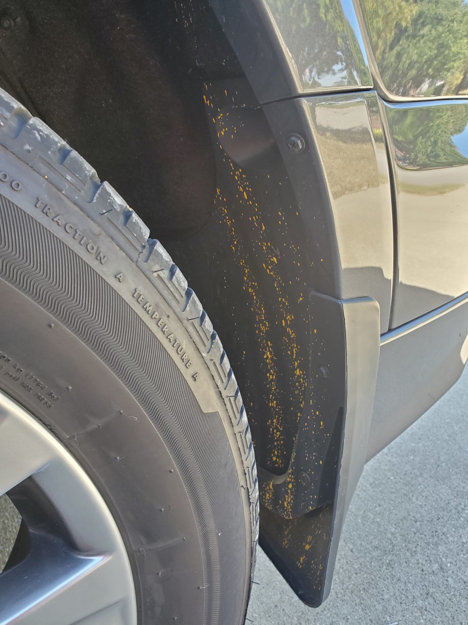 20191005_134843.jpg