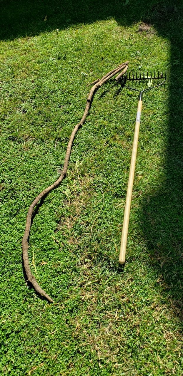 20191012_135906.jpg