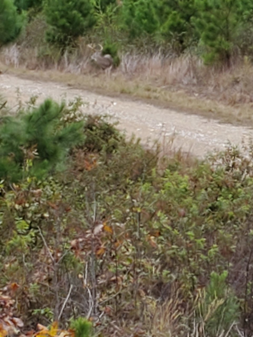 20191026_151451.jpg