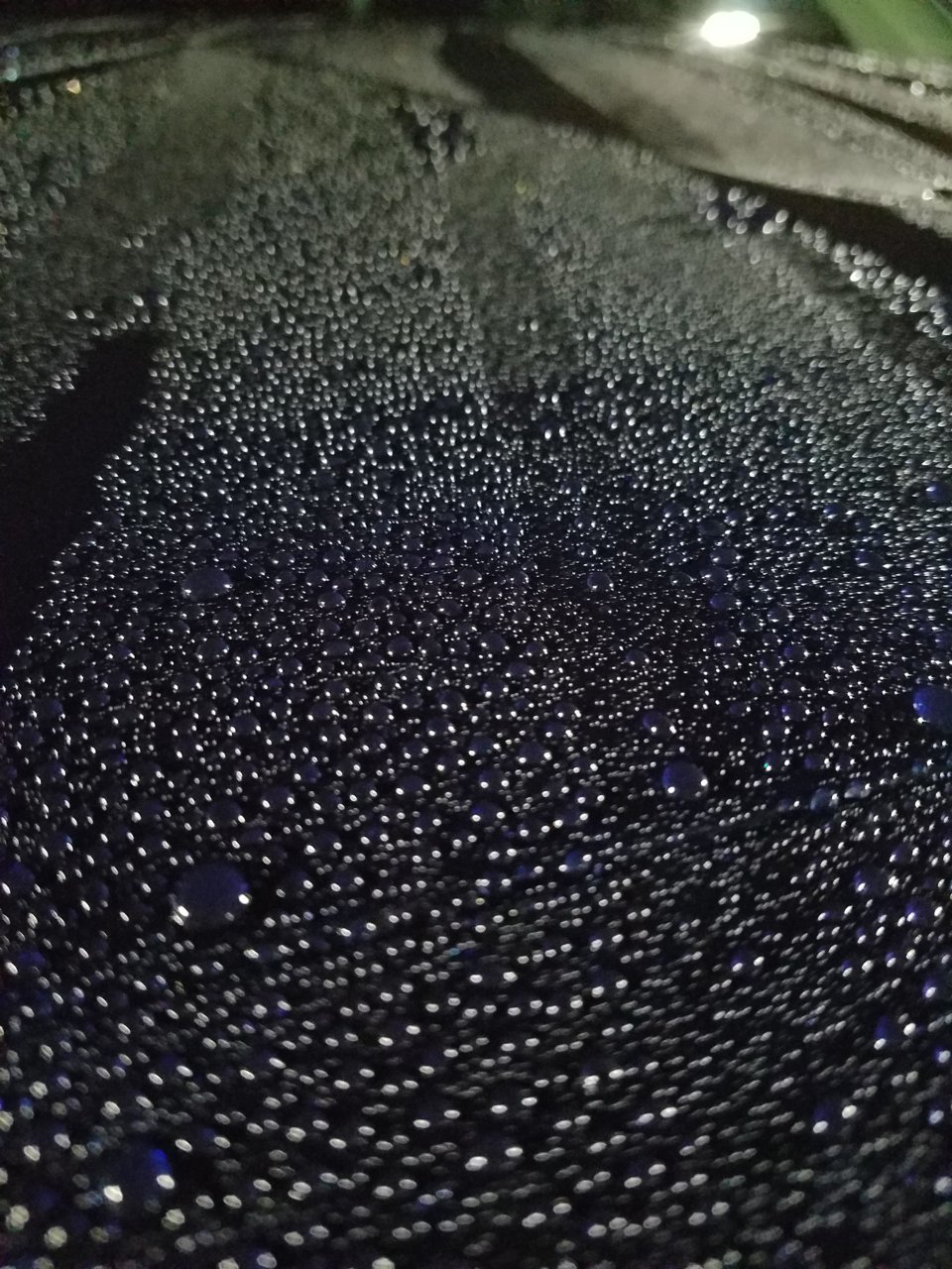 20191027_214756.jpg