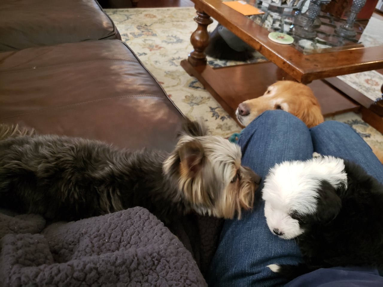 20191031_160305.jpg