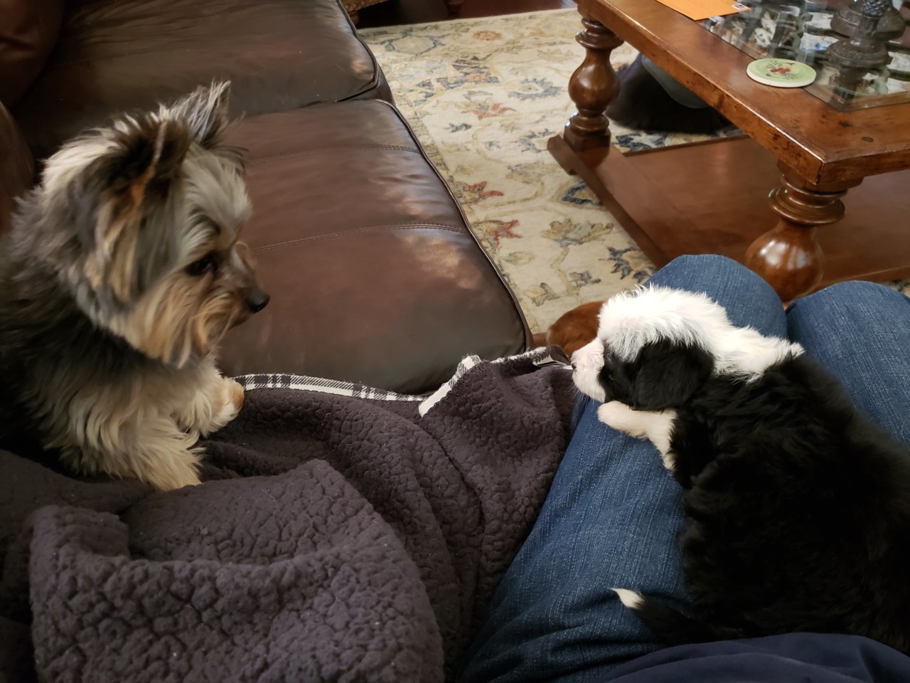 20191031_160414.jpg
