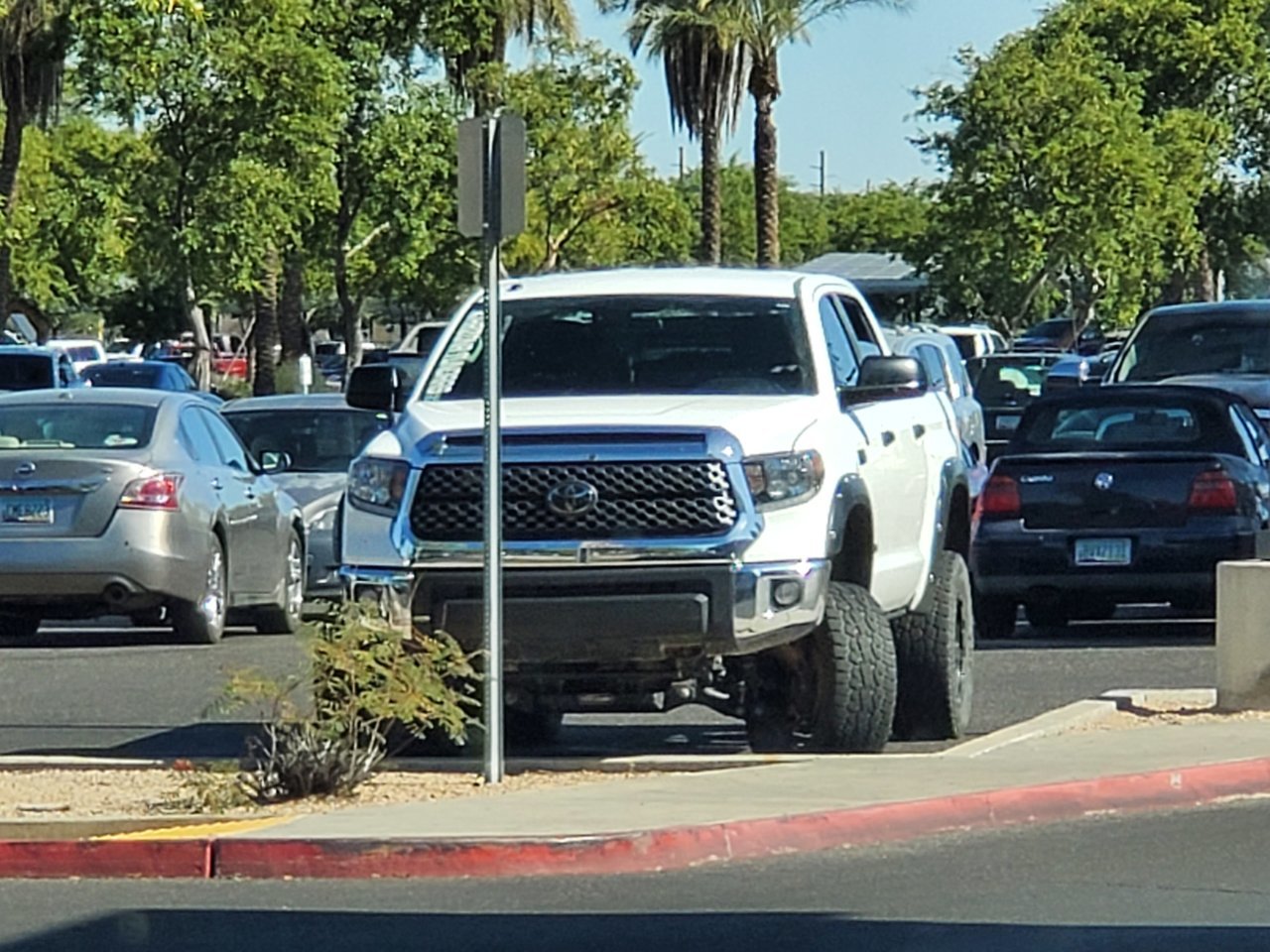 20191104_122455.jpg