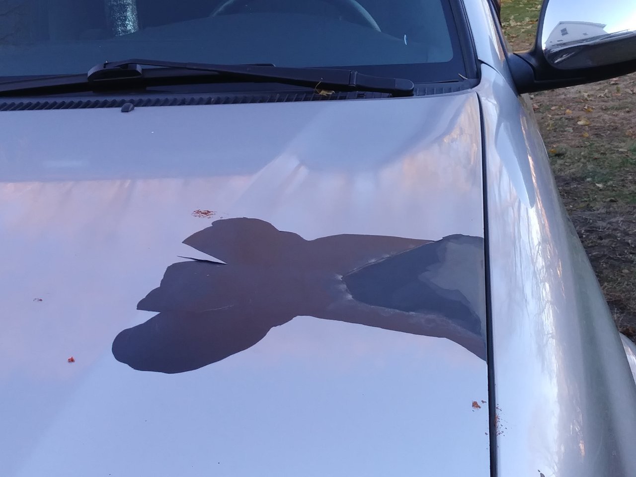 20191116_144527.jpg