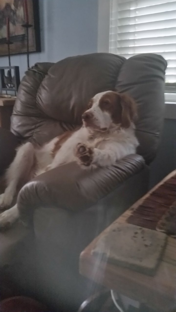 20191208_153145.jpg