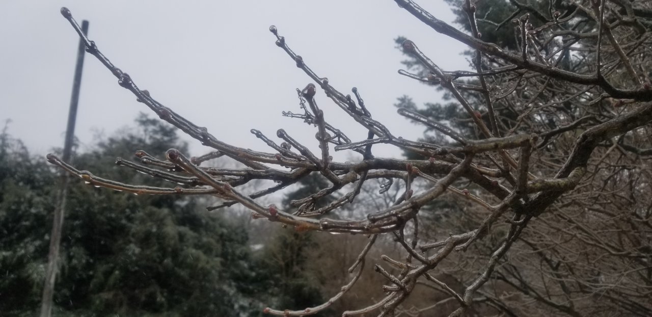 20191217_103309.jpg