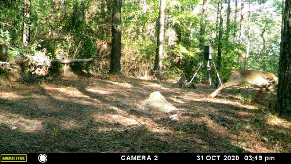 2020 Season Doe Shot Pic 1.jpg