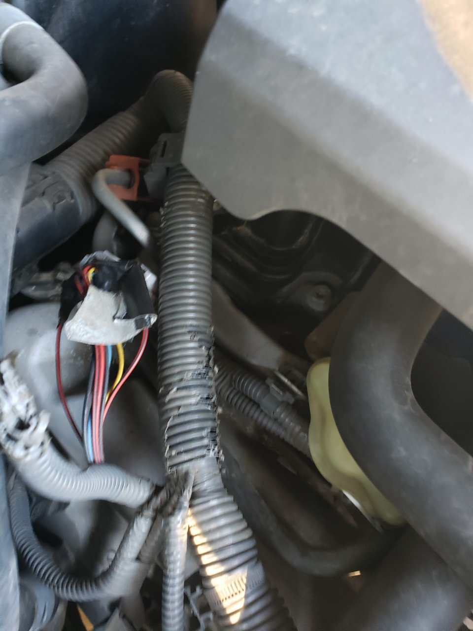 Wiring harness problem | Toyota Tundra Forum