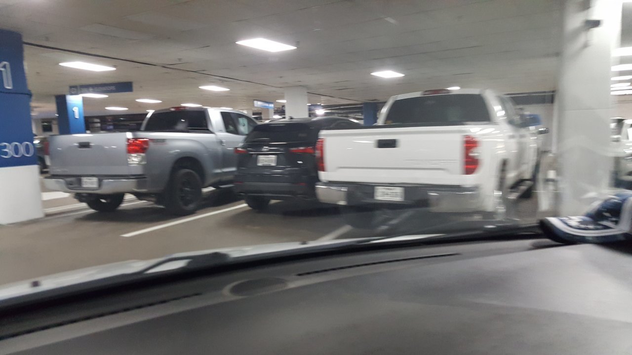 20200306_124007.jpg
