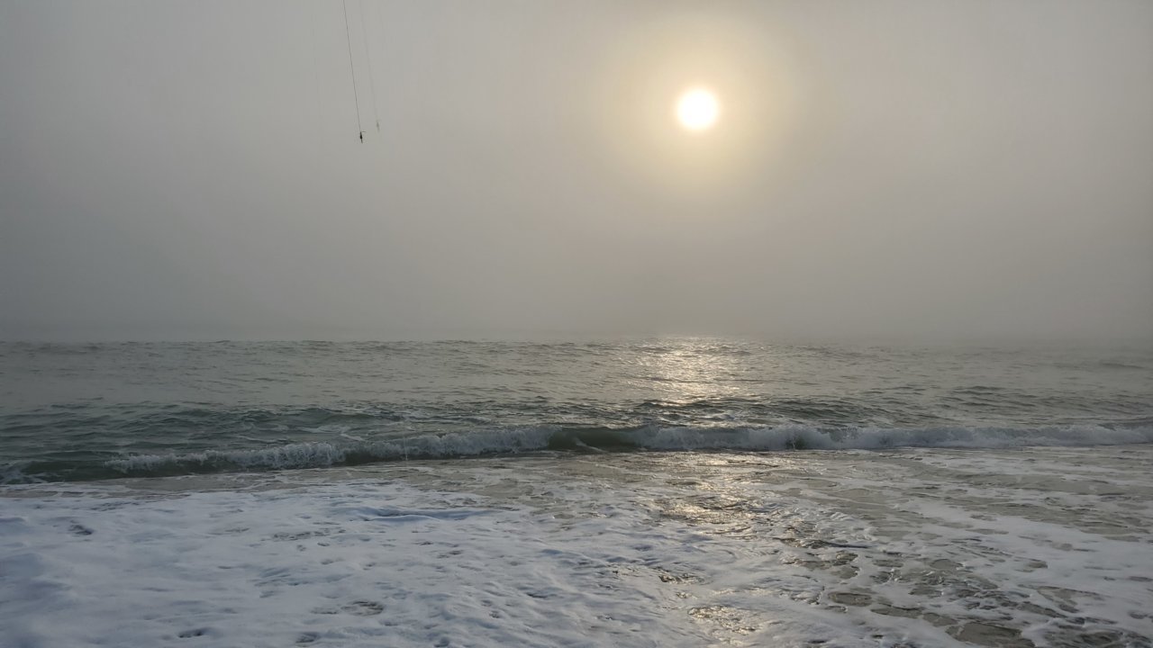 20200328_080401.jpg