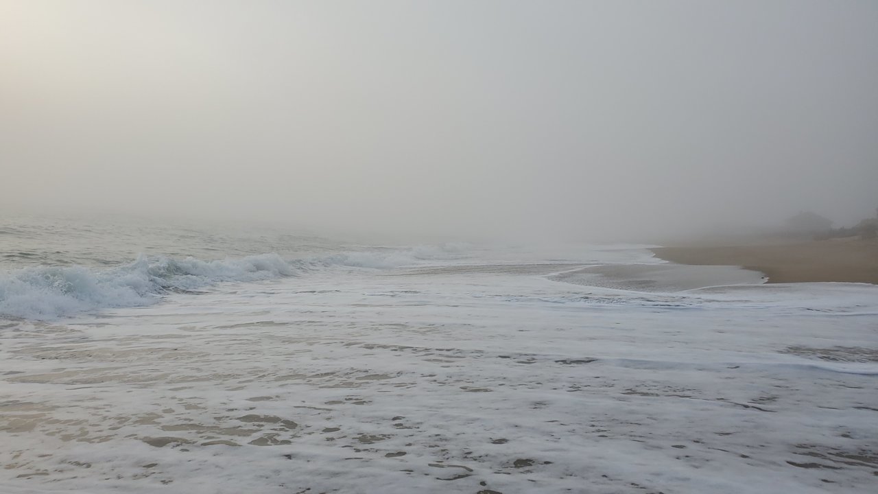 20200328_080405.jpg