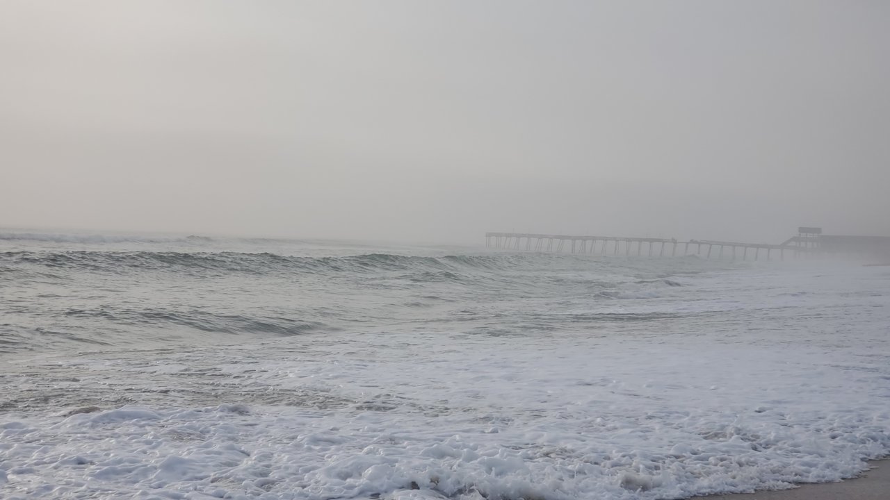 20200328_083359.jpg