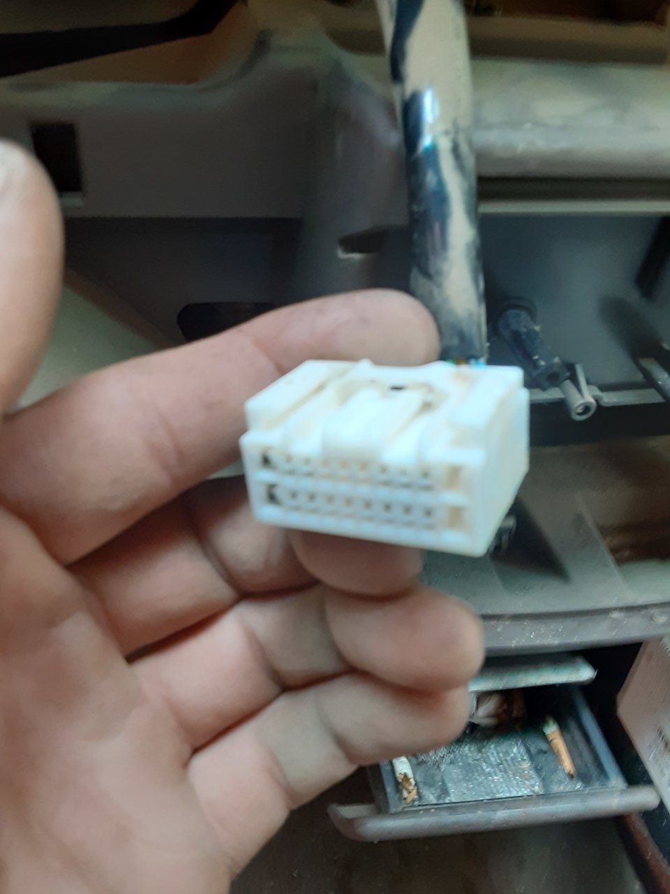 20200505_153105.jpg