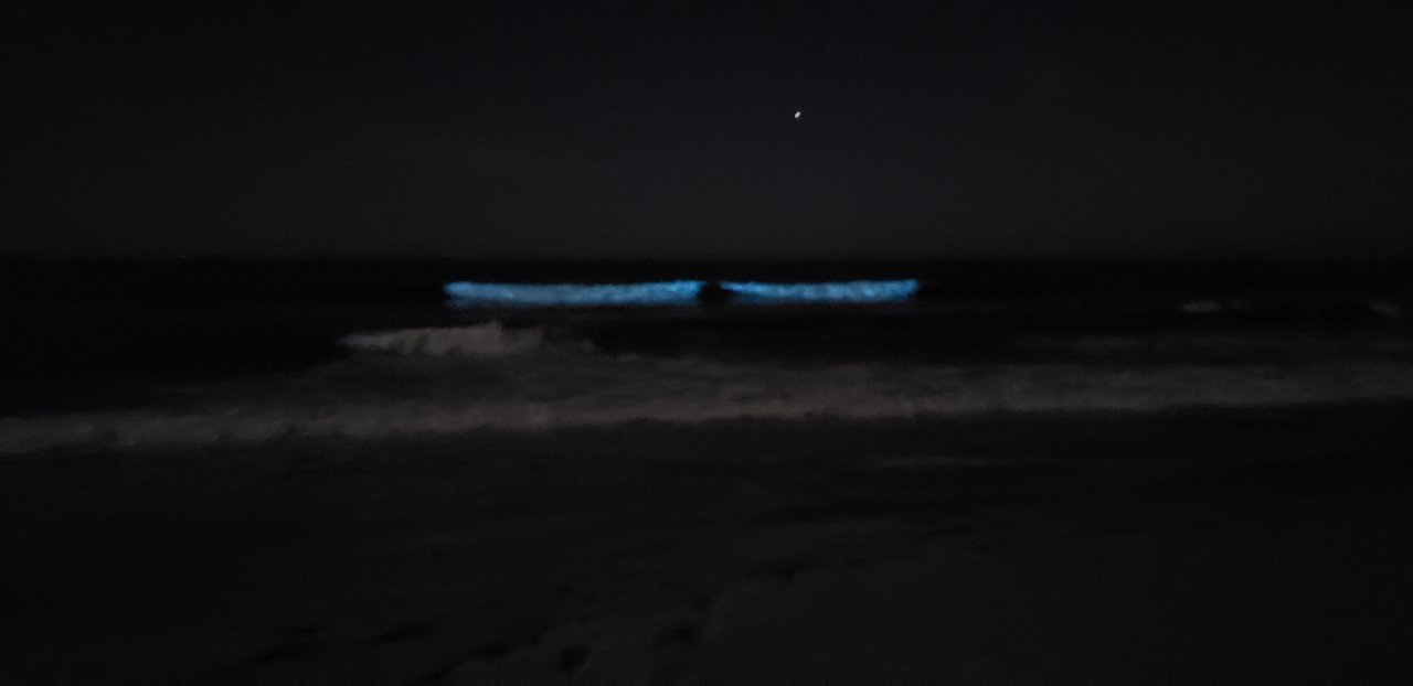 20200505_211834.jpg