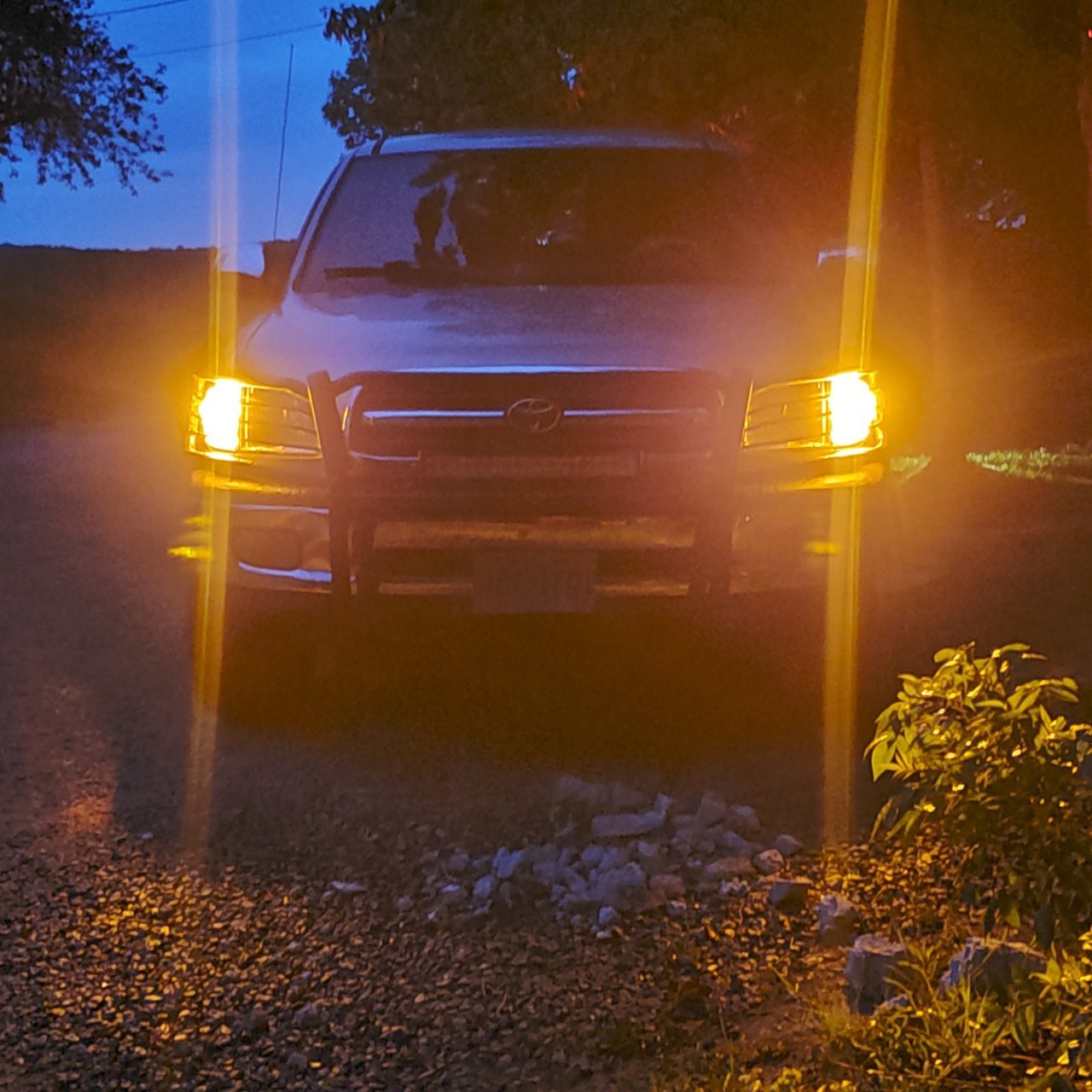 20200512_201932.jpg
