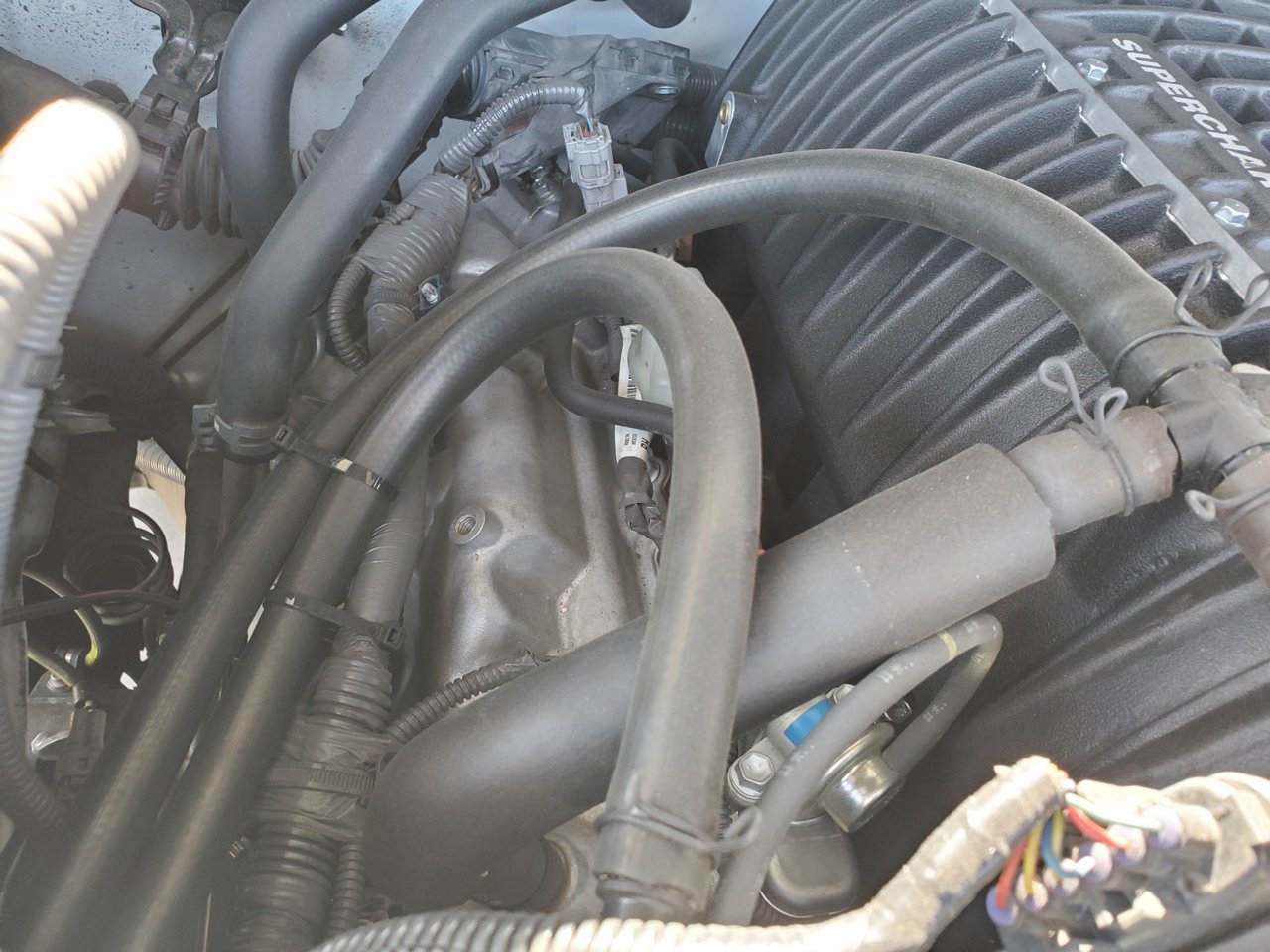 20200523_162924.jpg