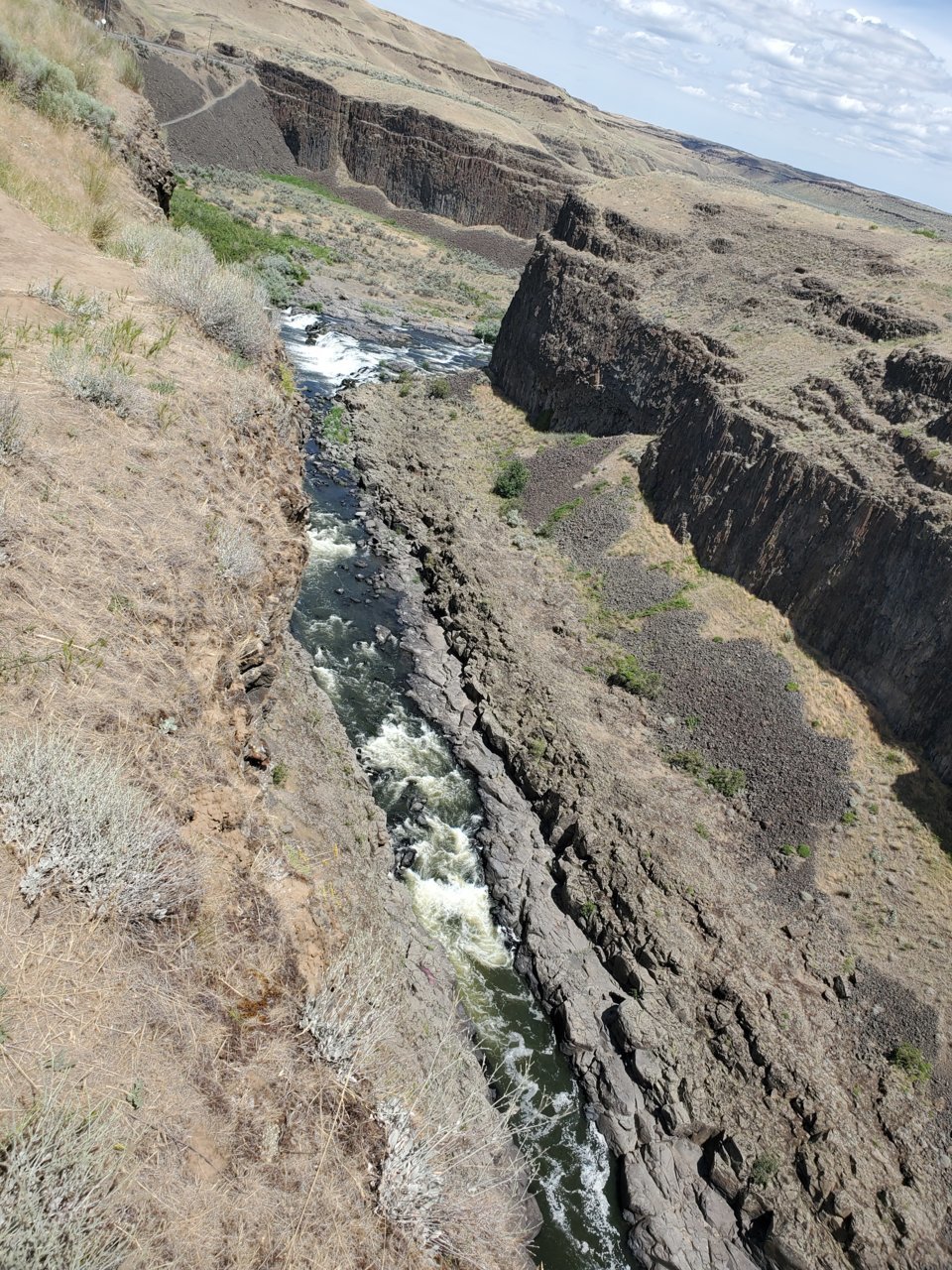 20200627_115000.jpg