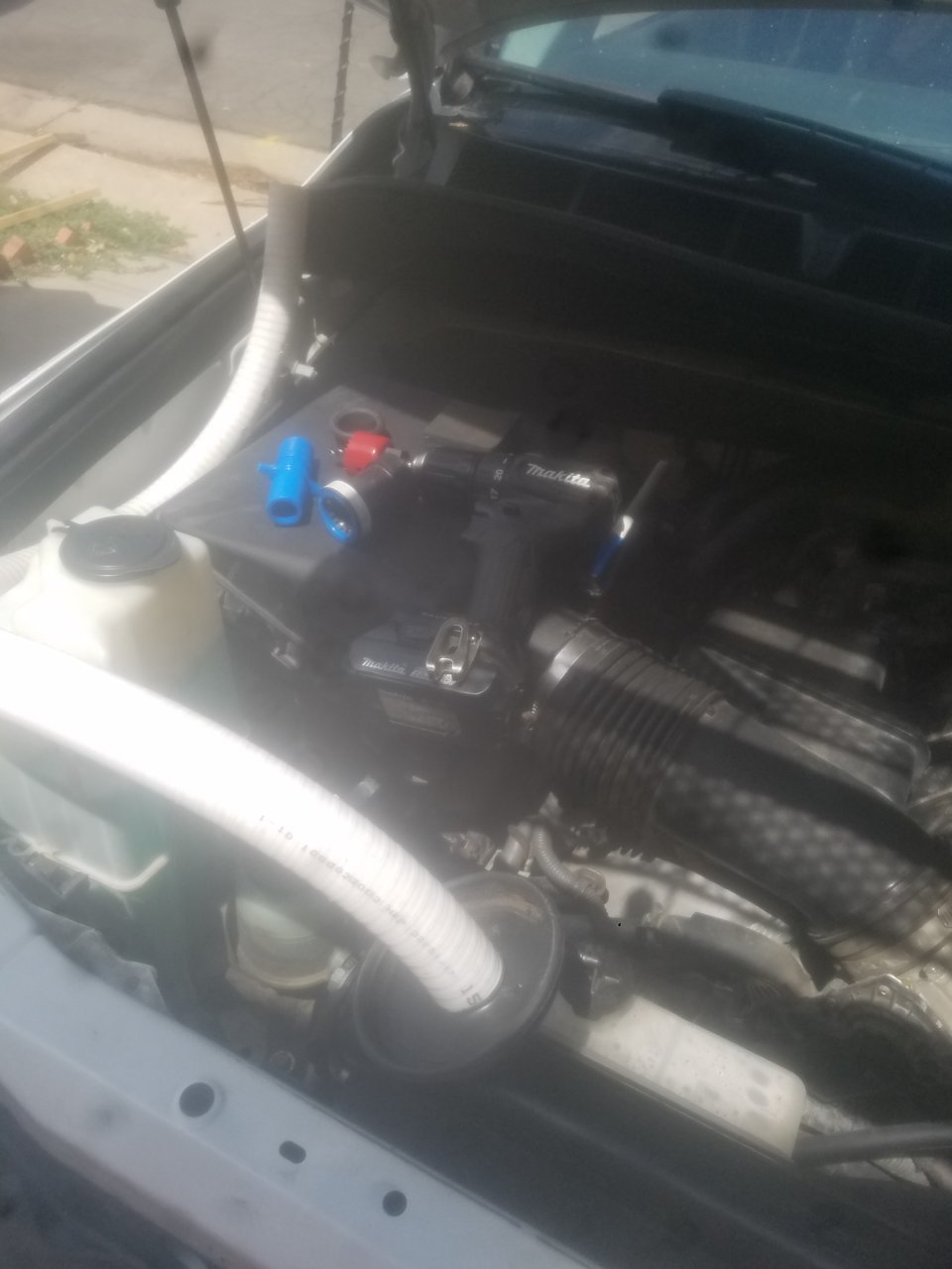 20200714_135221.jpg
