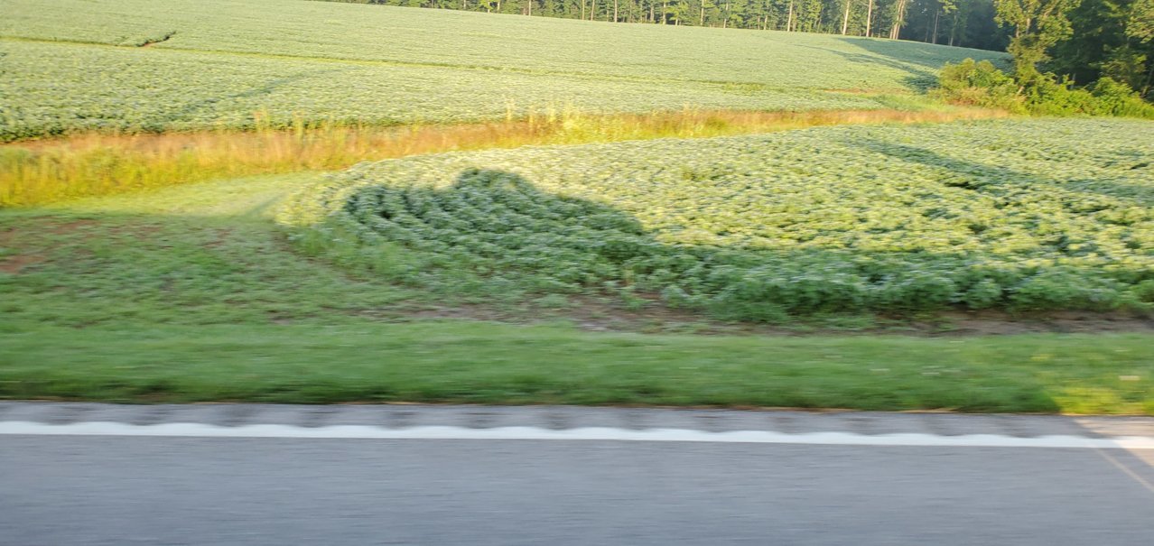 20200718_064741.jpg