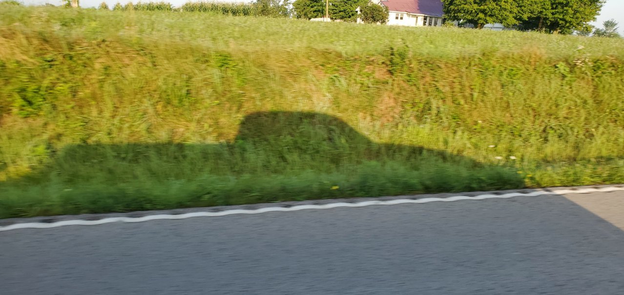 20200718_064811.jpg