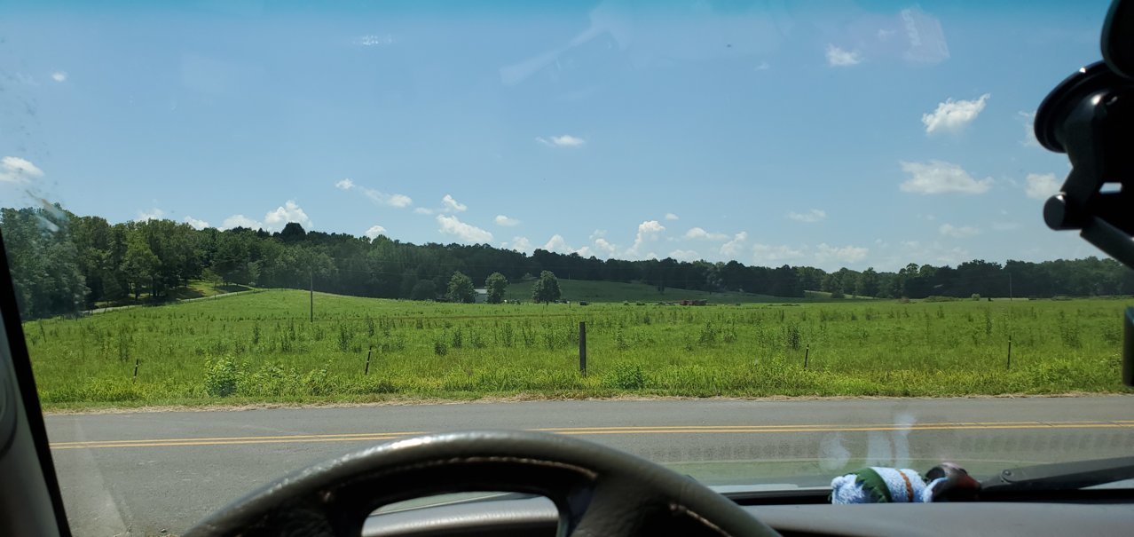 20200719_123952.jpg