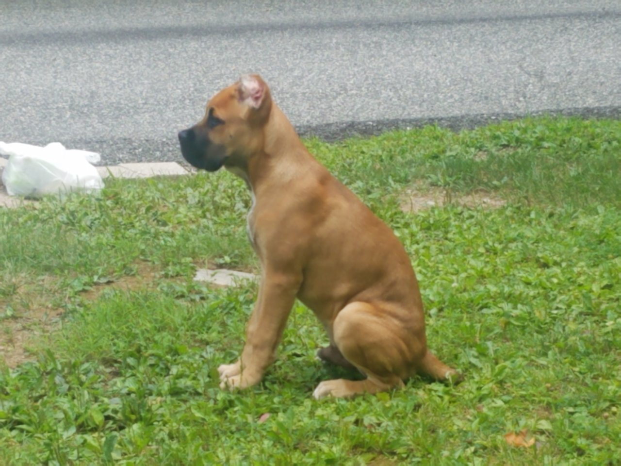 20200725_111719.jpg