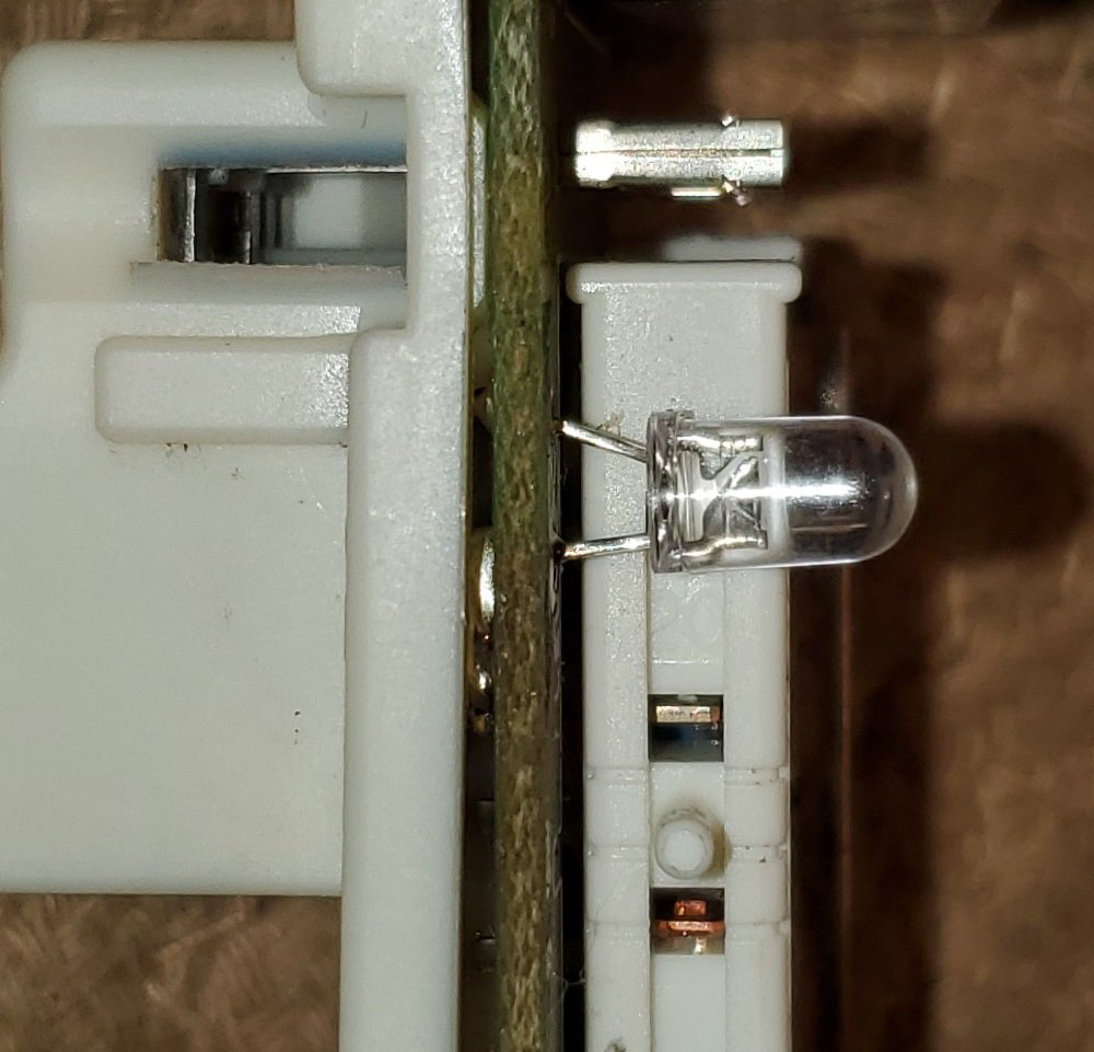 20200810_174731.jpg