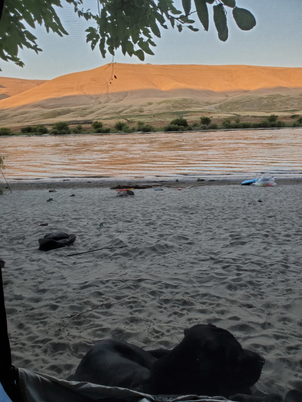 20200814_192839.jpg