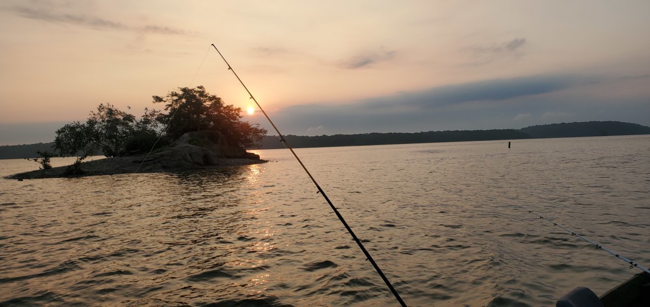 20200816_063644.jpg