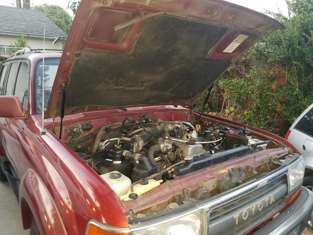 20200817_194237.jpg
