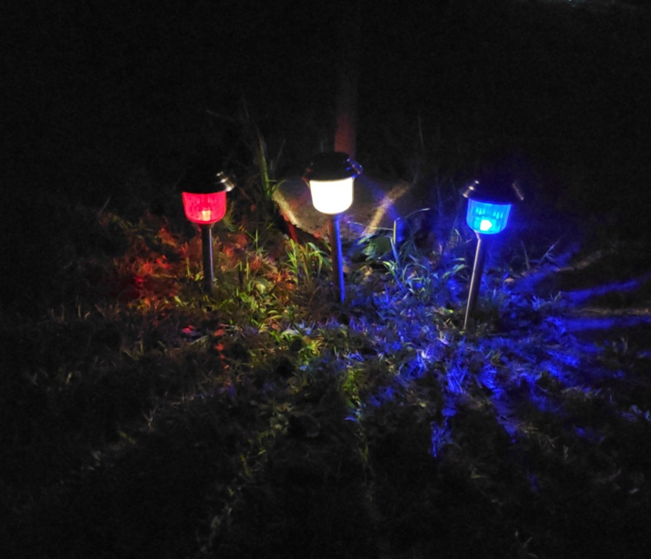 20200818_002003.jpg