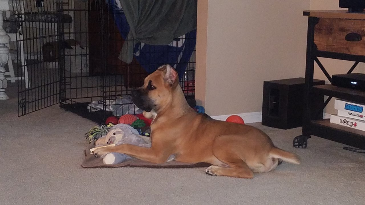 20200827_211205.jpg